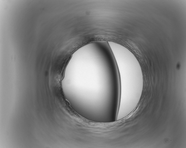 X0000092050045200709121034