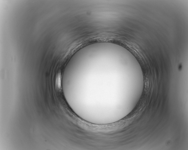 X0000092050046200709121034