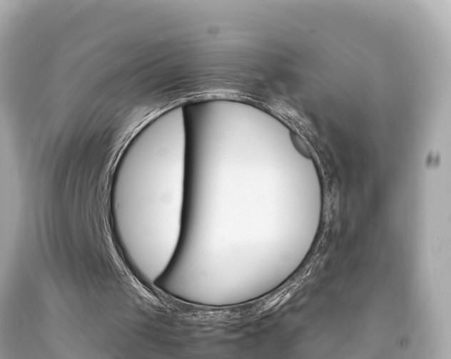 X0000092050049200709121033