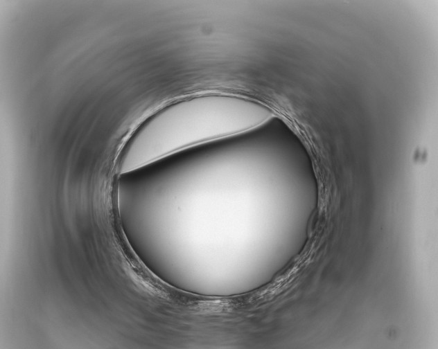 X0000092050050200709121033