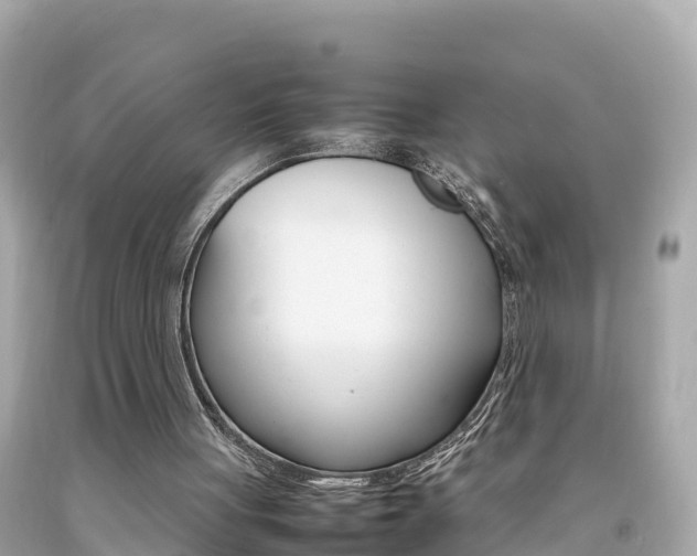 X0000092050051200709121033