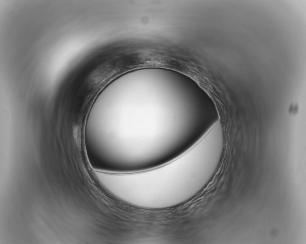 X0000092050052200709121033