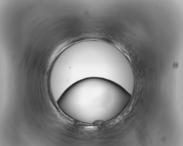 X0000092050053200709121033