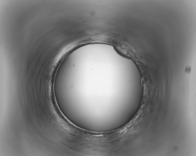 X0000092050054200709121033