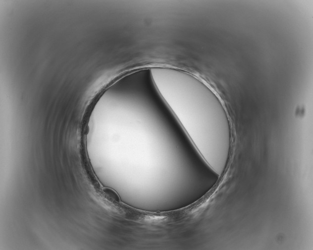 X0000092050055200709121033