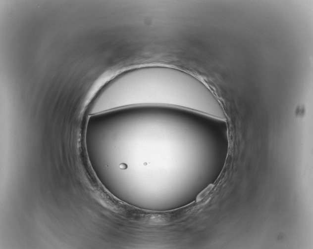 X0000092050056200709121033