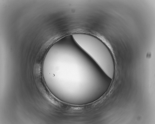 X0000092050057200709121033