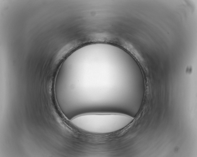 X0000092050058200709121033