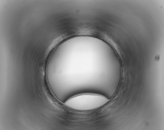 X0000092050059200709121033