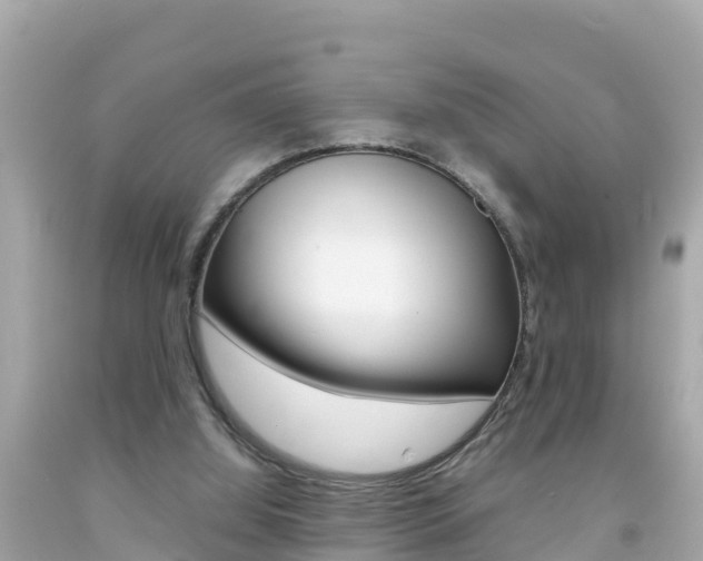 X0000092050060200709121033