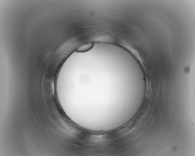 X0000092050061200709121033