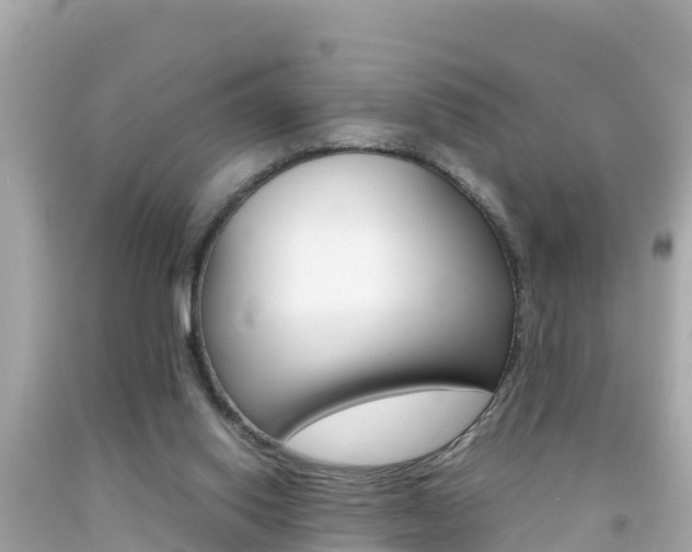 X0000092050062200709121033