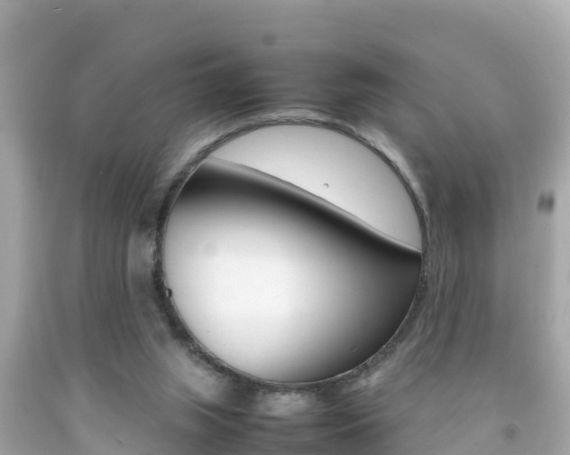 X0000092050063200709121033