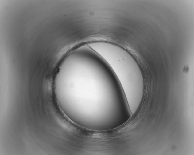 X0000092050064200709121033