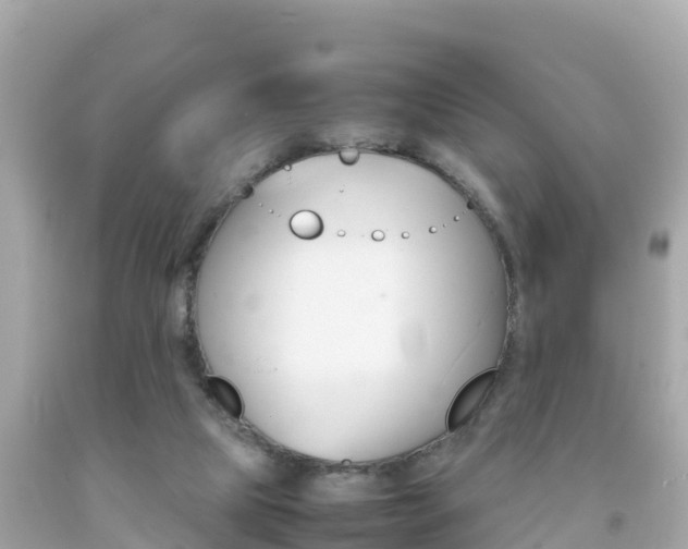 X0000092050065200709121033