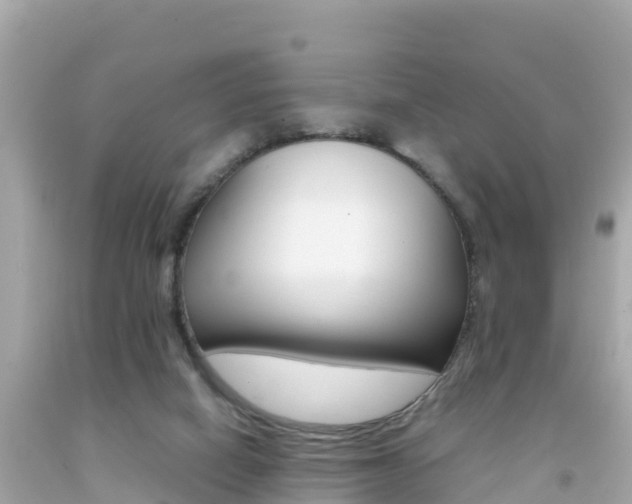 X0000092050066200709121033