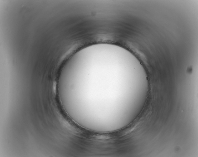 X0000092050067200709121033