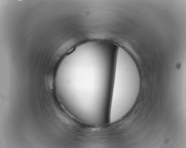 X0000092050068200709121033