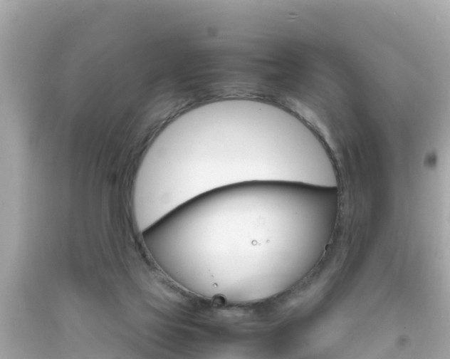 X0000092050069200709121033