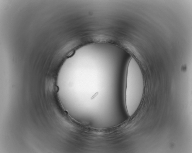 X0000092050071200709121033