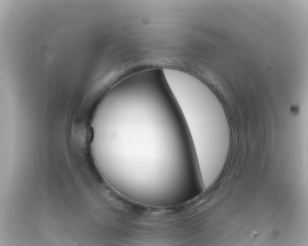 X0000092050072200709121033