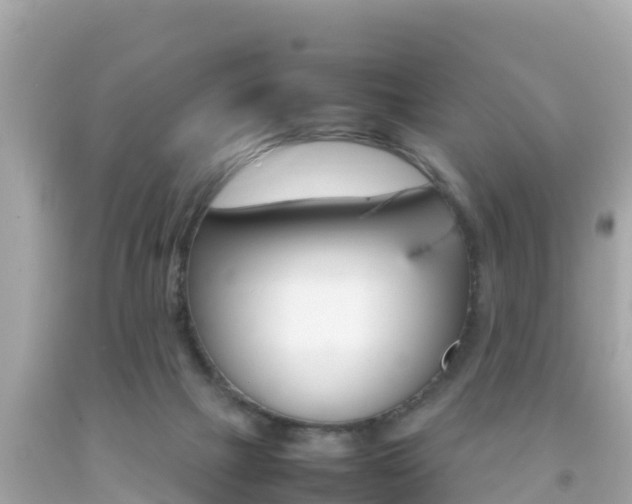 X0000092050073200709121033