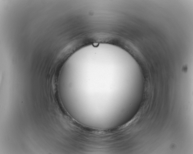 X0000092050074200709121033