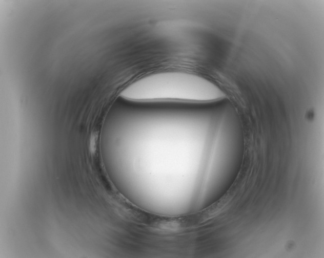 X0000092050075200709121033