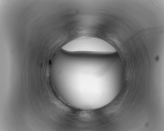 X0000092050077200709121033