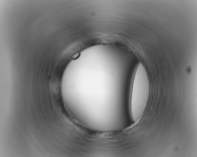 X0000092050078200709121033