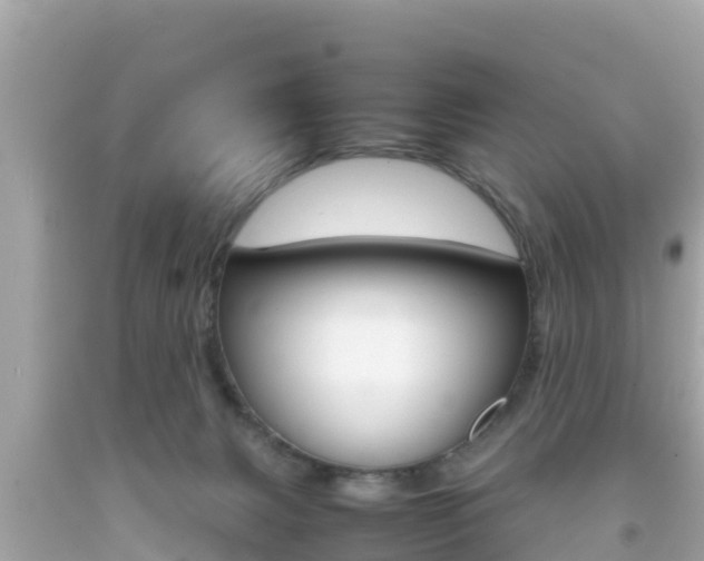 X0000092050079200709121033