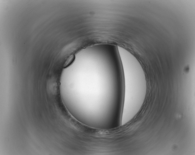 X0000092050080200709121034