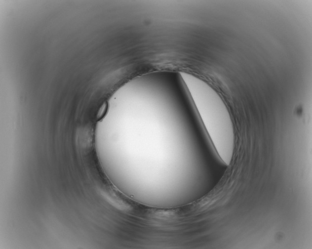 X0000092050081200709121034