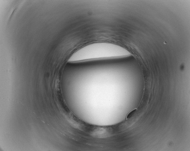 X0000092050083200709121034