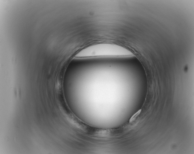 X0000092050084200709121034