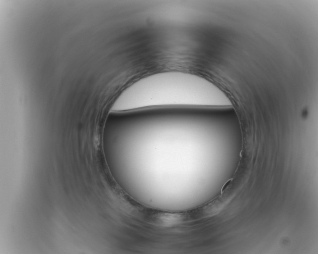 X0000092050085200709121034