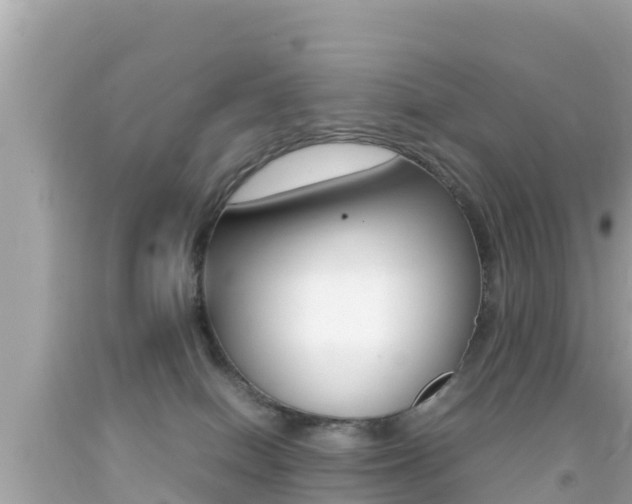 X0000092050086200709121034