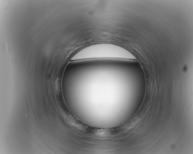 X0000092050088200709121034