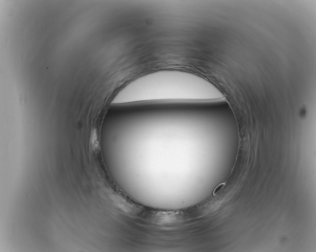 X0000092050089200709121034