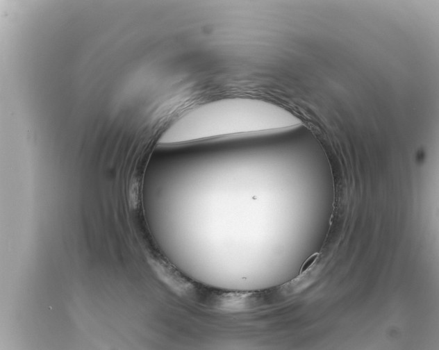 X0000092050090200709121034