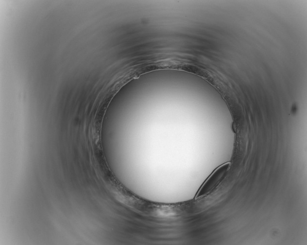 X0000092050091200709121034