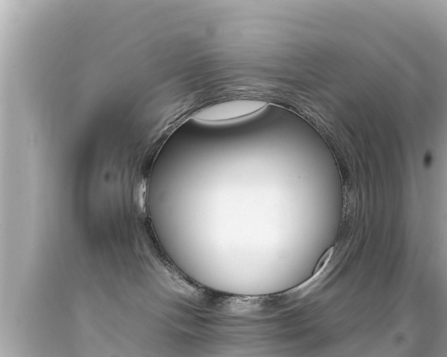 X0000092050094200709121034