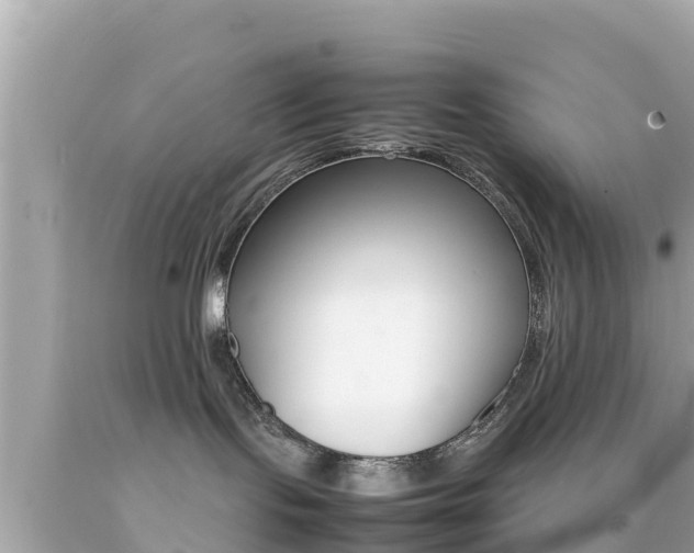 X0000092050095200709121034