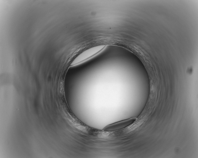 X0000092050096200709121034