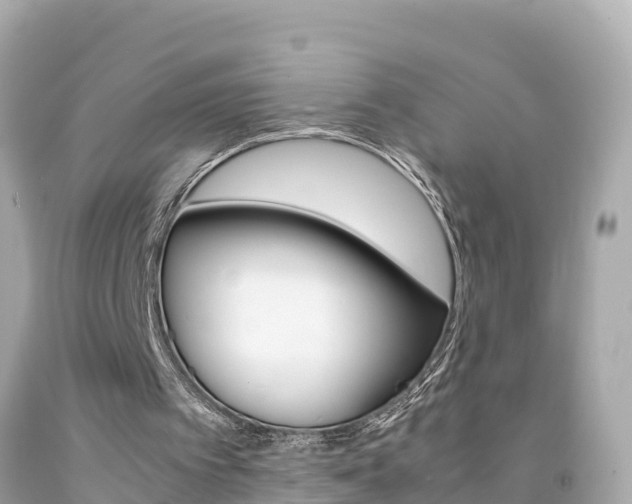 X0000092050097200709121033