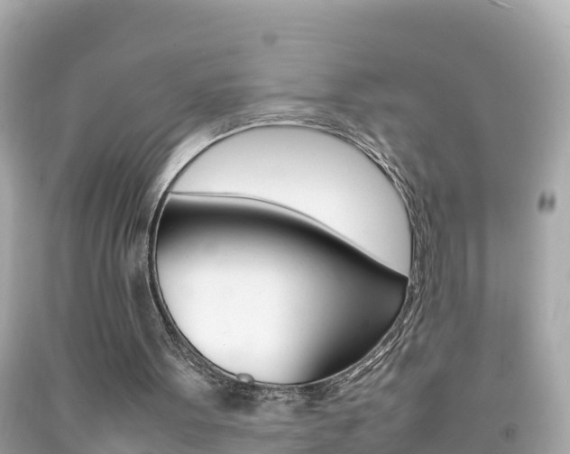 X0000092050099200709121033