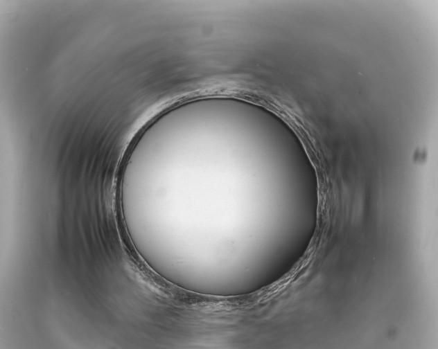 X0000092050100200709121033