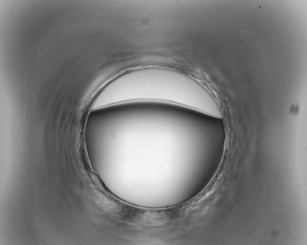 X0000092050101200709121033