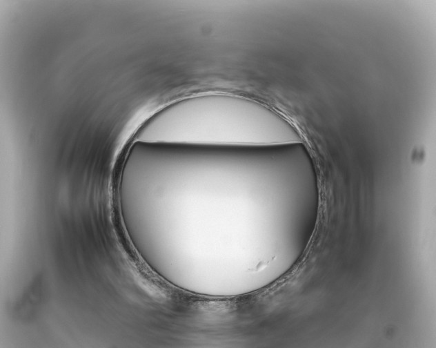 X0000092050102200709121033