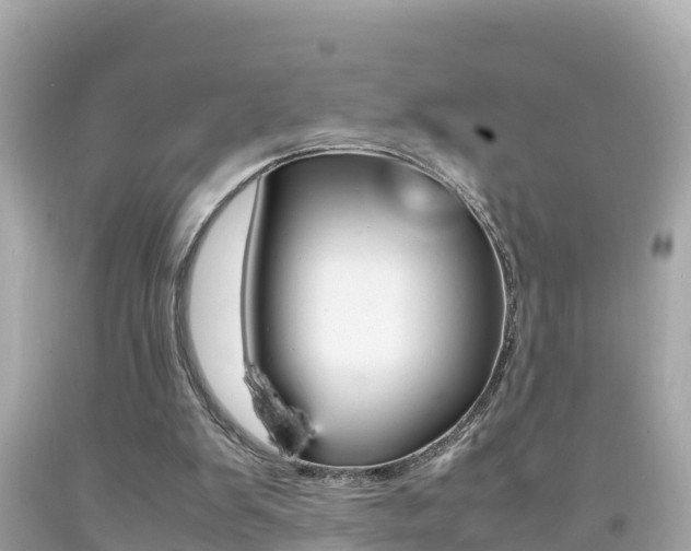 X0000092050103200709121033